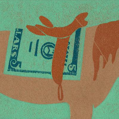 When a horse goes ‘home’