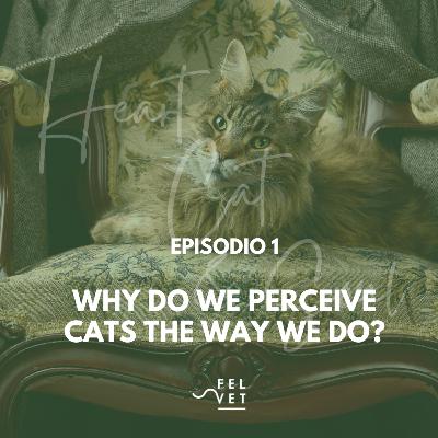 EPISODE 1: Why do we perceive cats the way we do?