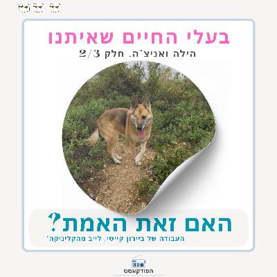 מפגש 24. הילה ואניצ'ה. אניצ'ה גורמת לעוד עומס. 2/3