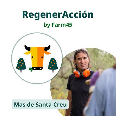 26. Mas de Santa Creu y la recuperación de fincas abandonadas a través de la regeneración de suelos y cultivos
