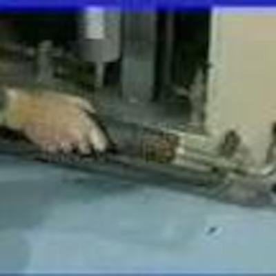 Install Tip10 - Insulating Lines