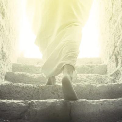 Para rezar o Evangelho do 5º Domingo do tempo da Quaresma Para rezar o Evangelho do 5º Domingo do tempo da Quaresma