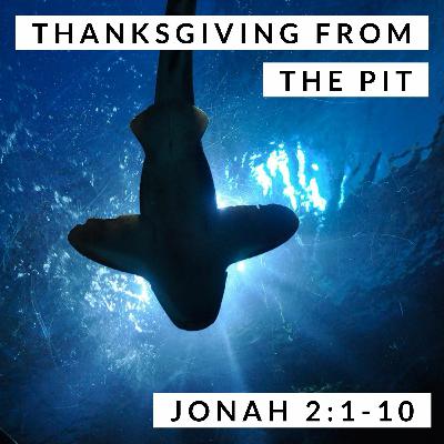 Thanksgiving from the Pit; Jonah 2:1-10 Thanksgiving from the Pit; Jonah 2:1-10