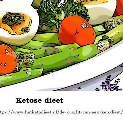 Ketose dieet