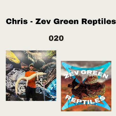 Chris - Zev Green Reptiles 020