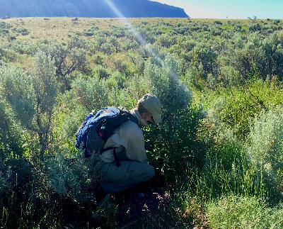 writer, botanist, Susan Tweit on being a walking ecosystem, writing the deserts of the West
