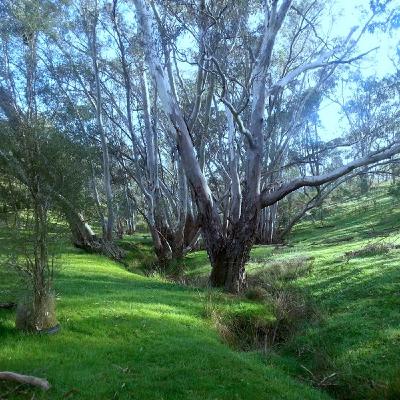 Episode 16 d-Rektional Dub Techno DJ set