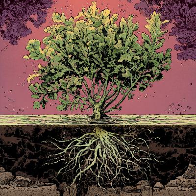 Episode 68 | Small Choices, Big Consequences