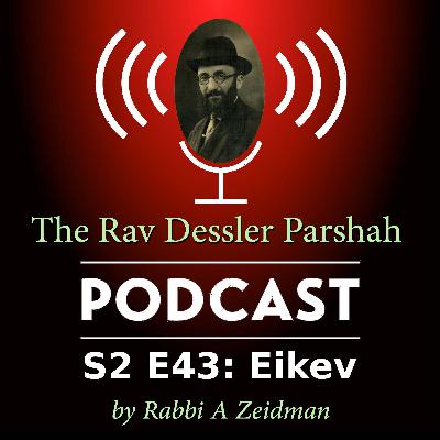 Eikev: If Hashem Can Do Anything, Why Is Fear of Him Up to Us?