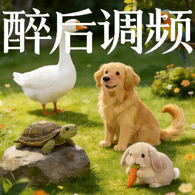 醉后调频 - 我们的宠物