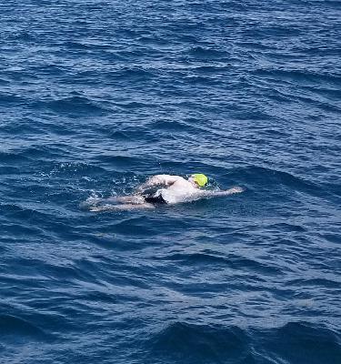 The Swimmer And The Swim The Swimmer And The Swim