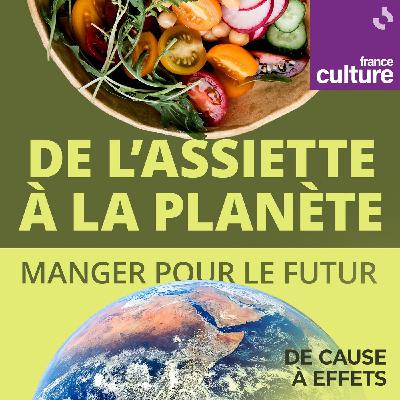 De l’assiette à la planète : manger pour le futur 2/10 : Le pain comme base de l'alimentation