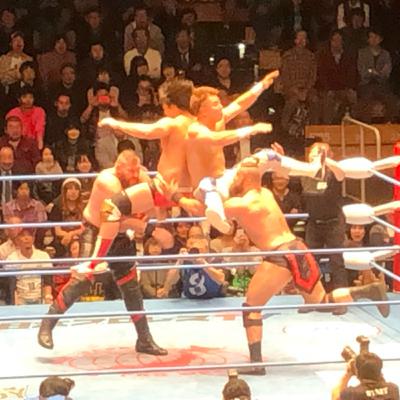 全日本プロレス5.29プレビュー2とTHE ENDをほげほげと