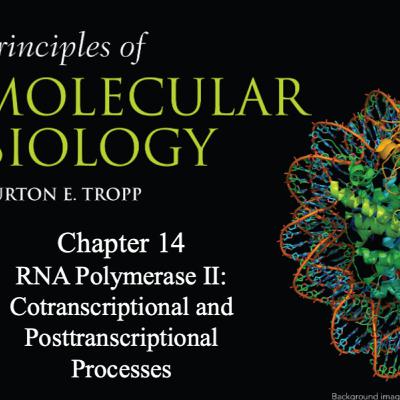 RNA Pol II: Co-and Posttranscriptional Processes Tropp Chapter 14