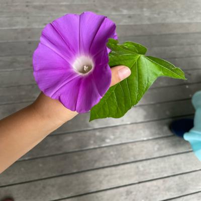 【夫婦喧嘩】同じ土俵に上がって戦わない 【夫婦喧嘩】同じ土俵に上がって戦わない