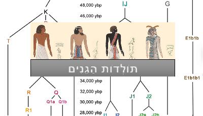 ת"ג פרק 1   דנא של אדם וחווה