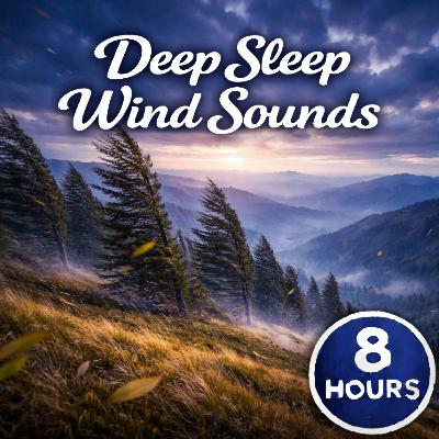 Wind Sounds Across a Night Meadow
