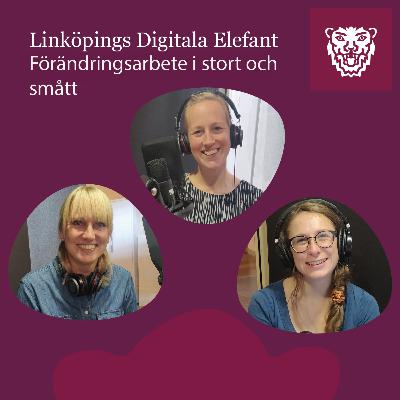 Förändringsarbete i stort och smått