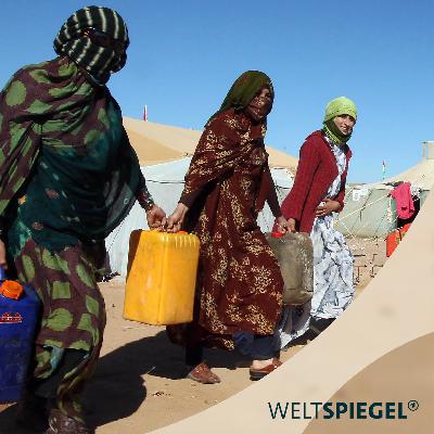 Wem gehört die Westsahara?