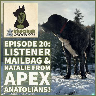 IPPC EPISODE 20: LISTENER MAILBAG AND NATALIE FROM APEX ANATOLIANS