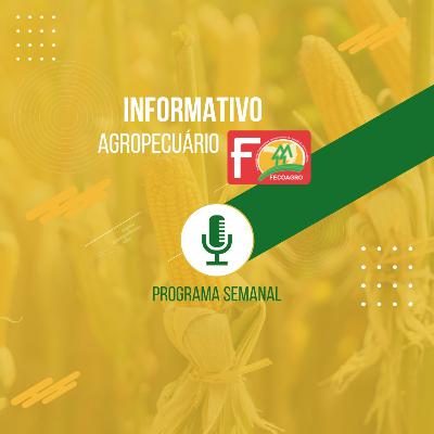 INFORMATIVO AGROPECUÁRIO 17 À 22-10-2025