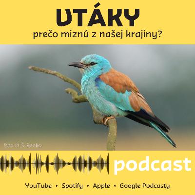 Vtáky - prečo miznú z našej krajiny? Vtáky - prečo miznú z našej krajiny?