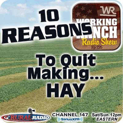 Ep 226: Ten Reasons You Should Quit Making Hay