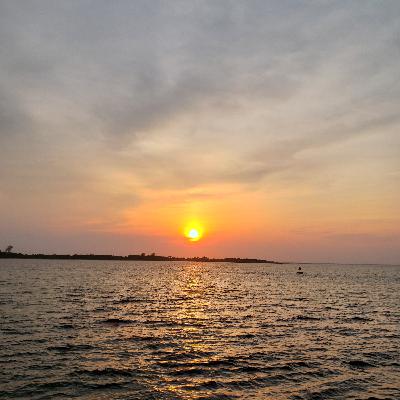 Life On Planet Earth -- The Political Quandary Life On Planet Earth -- The Political Quandary