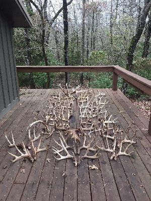 Ep. 28 Satan’s Tactics and Shed Hunting