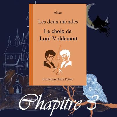 Le choix de Lord Voldemort - Chap. 3 - La pensine