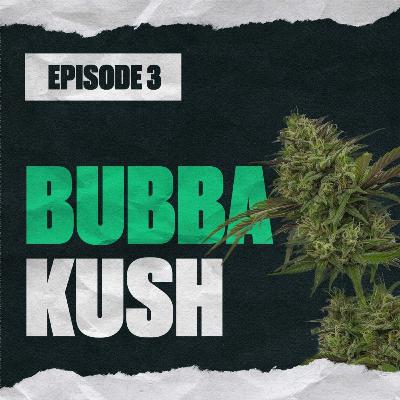 Bubba Kush Bubba Kush
