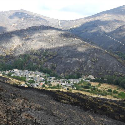 ¿Qué ha pasado después del fuego?: El proyecto de reforestación SoutoVivo