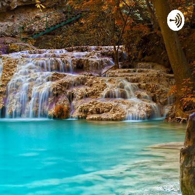 Curiosidades de la naturaleza