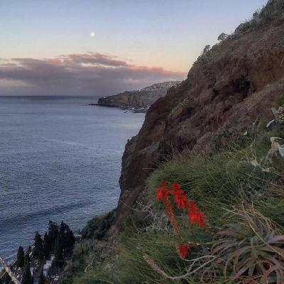 Ep 49: Consent and the Gynecologist