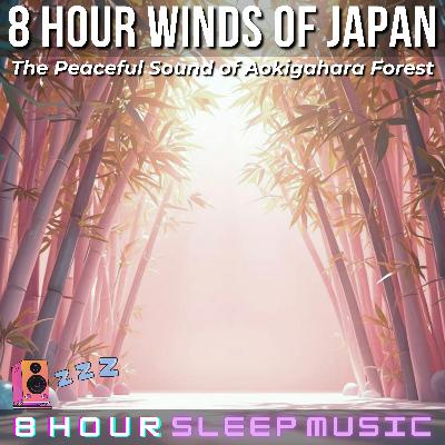 ⛩️ 8 Hour Winds of Japan | The Peaceful Sound of Aokigahara Forest (No Music) | Steady Wind Sounds for Deep Sleep 💨 ⛩️ 8 Hour Winds of Japan | The Peaceful Sound of Aokigahara Forest (No Music) | Steady Wind Sounds for Deep Sleep 💨