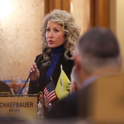 The lawmaker who takes ivermectin, a Republican rift over data centers, and more from legislative week 4