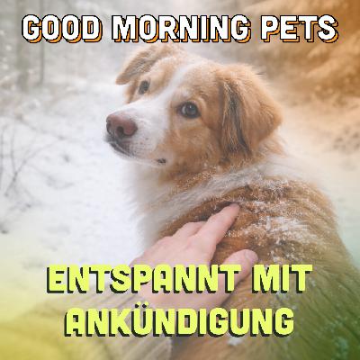 GMP101: Entspannt mit Ankündigung GMP101: Entspannt mit Ankündigung