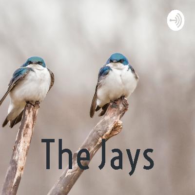 Another q&a with the jays