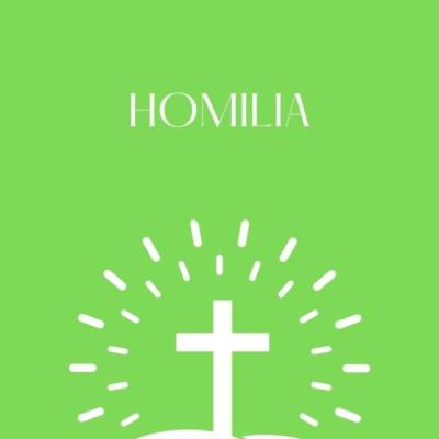 Homilia Pe. André - Solenidade da Ascensão do Senhor - 21/05/23