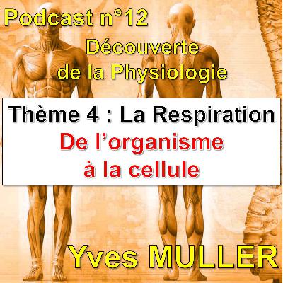 12. La respiration - De l'organisme à la cellule
