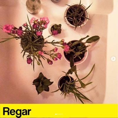 INSTAGRAM DO KOSZENIA TRAWY [16] | Regar | Podlewać