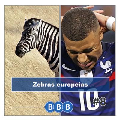 #8 - Zebras europeias