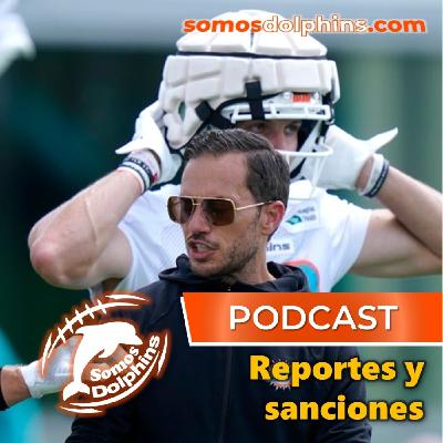 112. Reportes y sanciones para los Dolphins