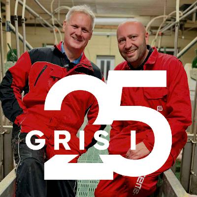 Grisepodden: Optimisme, ekspansjon og Gris i 25