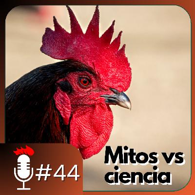🎙️ MITOS 🆚 CIENCIA en la AVICULTURA | Podcast #44