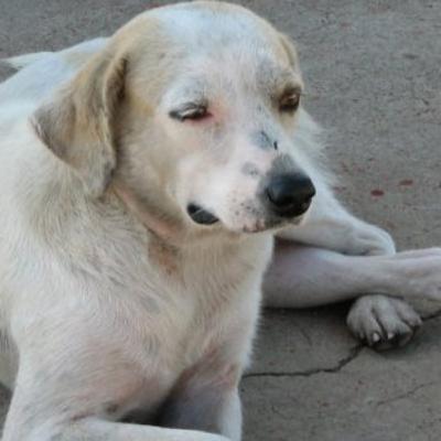 EPISODIO 4 DANA EN LA CALLE EPISODIO 4 DANA EN LA CALLE