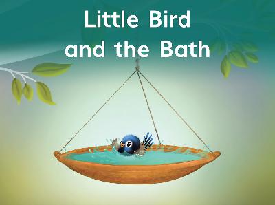 【Tina姐姐讲故事】Little Bird and the Bath(level3)