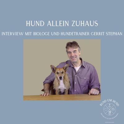 Hund allein zuhause - Interview mit Biologe und Hundetrainer Gerrit Stephan