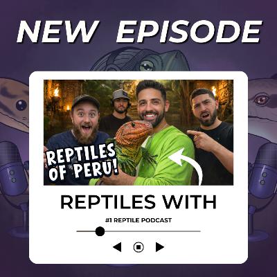 Reptiles of Peru Challenge! Can We Beat Manny from TikisGeckos? | Reptiles With Podcast Reptiles of Peru Challenge! Can We Beat Manny from TikisGeckos? | Reptiles With Podcast