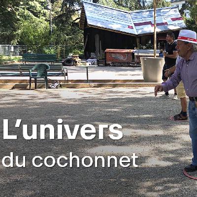 Un cochonnet dans la ville - Oiseau d'amitié